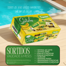 Caixa Sortidos Tropdan - 216g